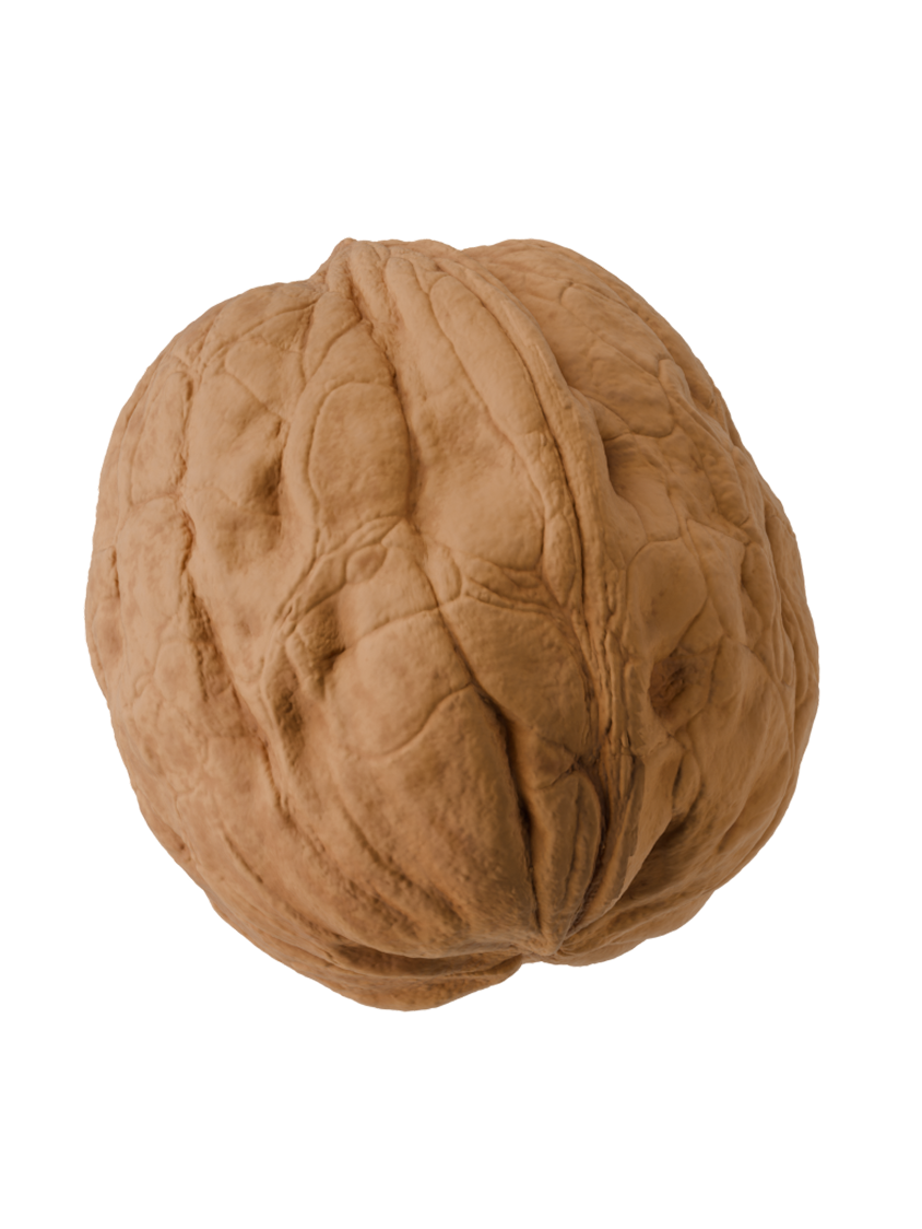WALNUT